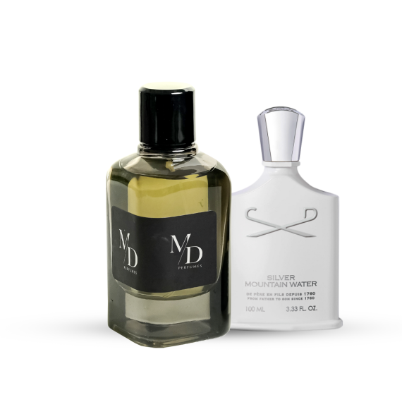 SILVER MOUNTAIN WATER INTENSE